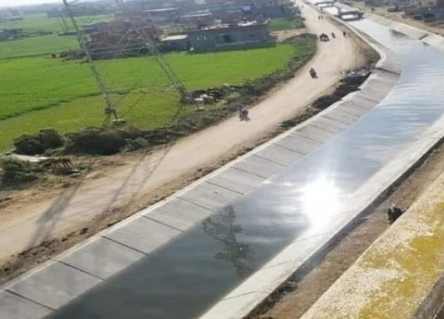 Lining the canals of Beni Suef